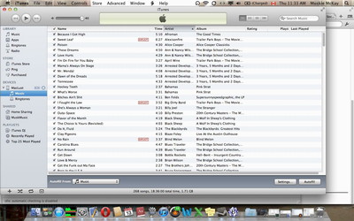 Screenshot of music dowloads on a computer.