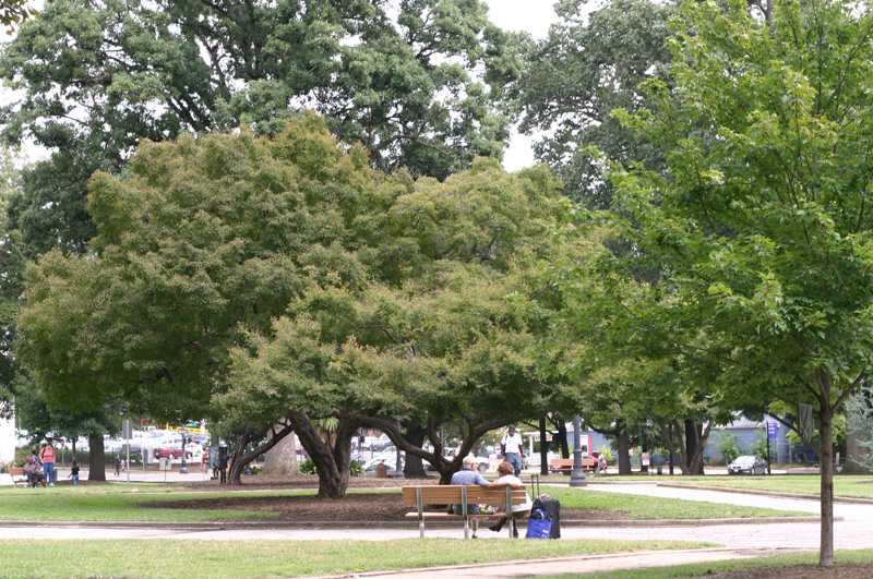 wide shot of two people sitting on a park bench at Moore Square