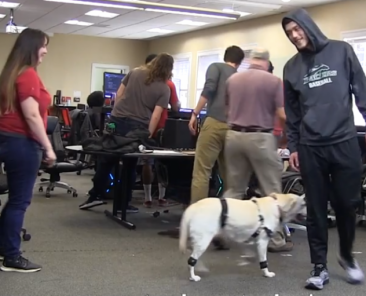 The spring 2020 game collaboration class works on motion capture of a dog in this file photo.